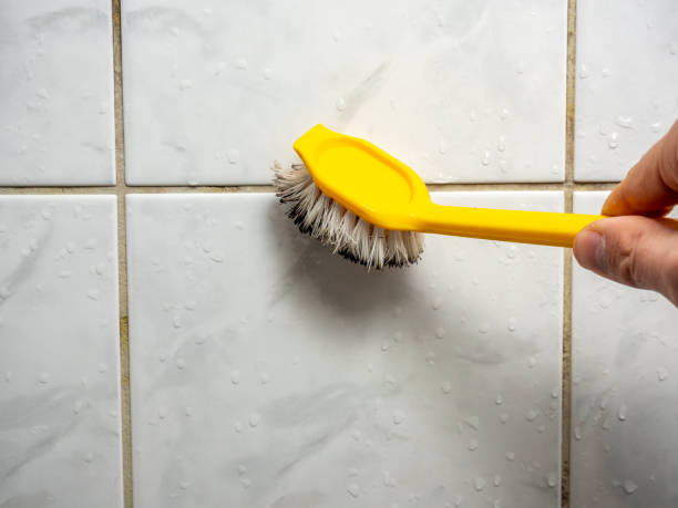 Best Mold Testing  in Ste Genevieve, MO